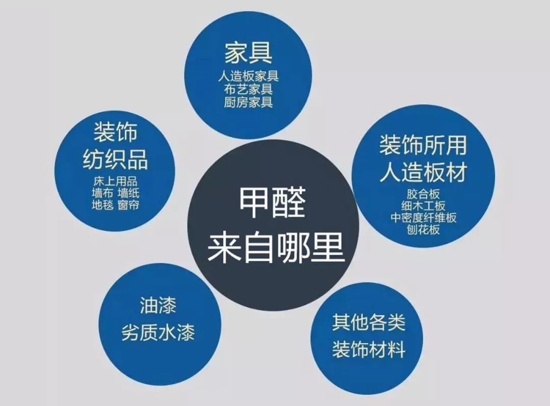 甲醛草莓app色版