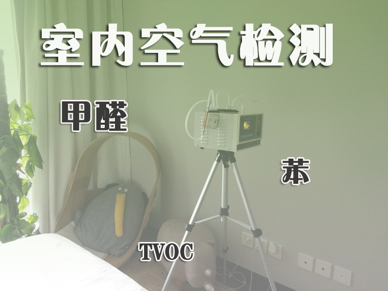 甲醛的草莓app色版